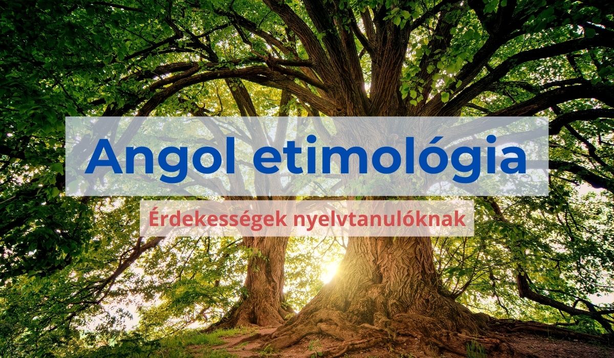 Angol etimológia, érdekességek nyelvtanulóknak. A háttérben két hatalmas, lombos fa